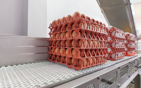 1 - ovosur - expertos en ovoproductos